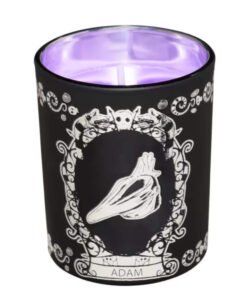 Multi-Pack de 4 Velas - Beetlejuice