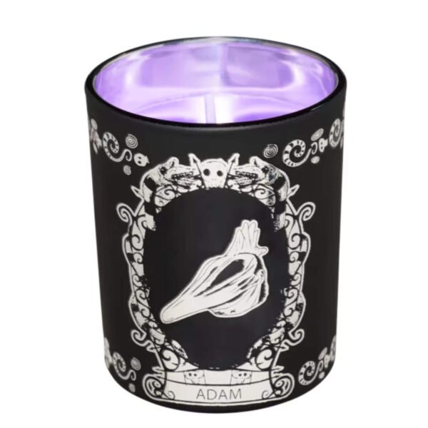 Multi-Pack de 4 Velas - Beetlejuice