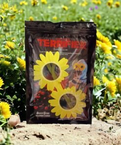 Terrifier 2 Sunflower - Lentes Utileria